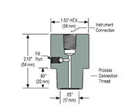 1/2 in. Process Connection Size Type 20 Front Flush, Non-Replaceable Diaphragm Seal (20-02S-S-04)