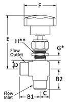 100 Needle Valve Angle Female NPT Line