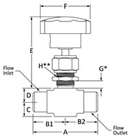 100 Needle Valve Female NPT Line