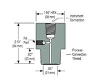 3/4 in. Process Connection Size Type 20 Front Flush, Non-Replaceable Diaphragm Seal (20-02S-S-06)