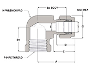 Female Elbow - Duolok