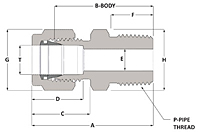 Male Connector BSPT - Duolok