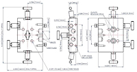 Direct Mount 5-Valves Manifold (Enclosure) Model-HM8592-2