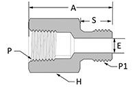 BSPP Female Connector