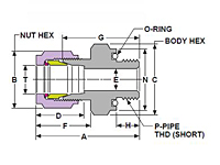 O-ringMaleConnectorCOMdimdraw