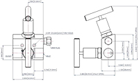 Remote Mount 2-Valves Manifold Model-HM8232-2