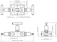 Remote Mount 3-Valves Manifold Model-HM8332-2