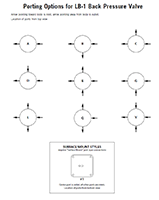 Porting Options for LB-1 Back Pressure Valve