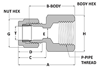 Tube fitting female connector