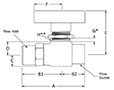 300 Two Way Valve Female NPT Line