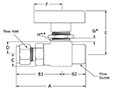 300 Two Way Valve Fractional Tube FItting to Female NPT Line