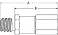 High pressure check valve male to female NPT end connections.