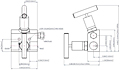 Remote Mount 2-Valves Manifold Model-HM8232-2